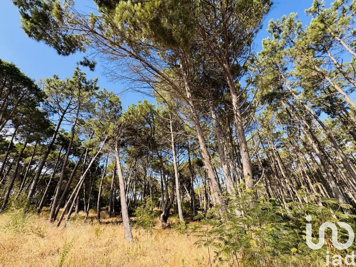 Nowa willa z basenem w Lagoa de Albufeira (Sesimbra) – zdjęcie 15